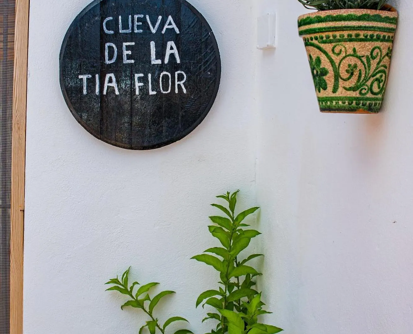 Cueva De La Tia Flor Apartment Castril Spain